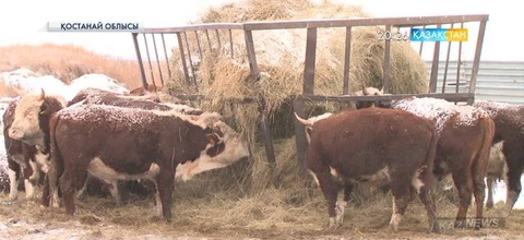 Қостанай облысы Қарасу ауданының тұрғыны Алмат Тұрсынов өз қаражатына бірнеше әлеуметтік нысан салып берген