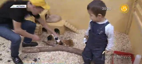 Аңды ермек қылып жүріп, абайсызда өзіңіз «құрбан» болмаңыз!