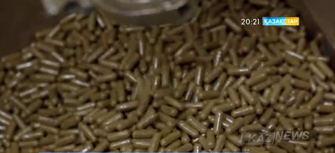 Дәрі тәріздес дәрумендер: пайдалы ма, зиян ба?