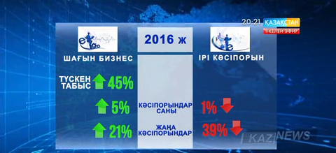 Шағын бизнестен түскен табыс 45 пайызға артқан