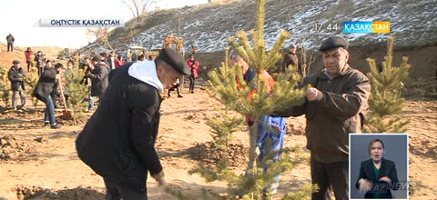 Шымкент аумағындағы бос жатқан сай-салаларға биыл 5 саябақ салынады