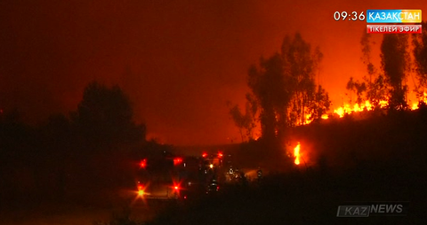 Чилиде алапат орман өрті дес бермей жатыр