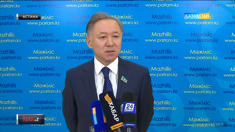 Саяси реформаларды сәтті іске асыру үшін  партиялардың белсенділігін арттыру қажет