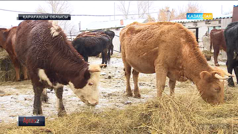 Аграрлық сектор экономиканың жаңа драйверіне айналады