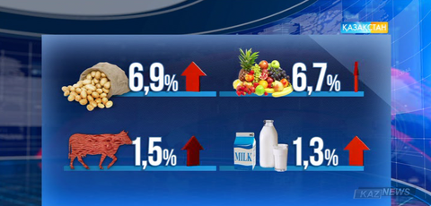 Президент баға саясатында ымыраласуға жол бермеуді жүктеді