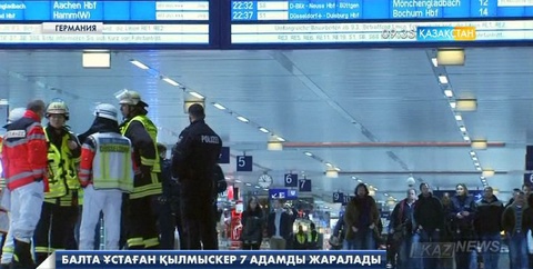 Германияда балта ұстаған қылмыскер 7 адамды жаралады