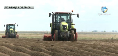 Павлодар облысында  ауыл шаруашылығы қарқынды дамуда 