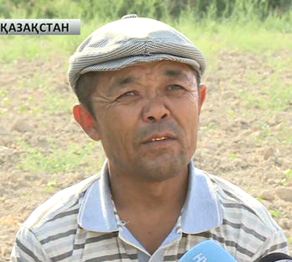 ОҚО: Шардара ауданында еңбекті сүйген жан тұрады 