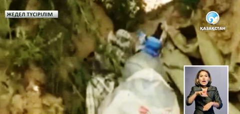 Жамбыл облысының полицейлері  2 тонна есірткі сорасын тәркіледі  