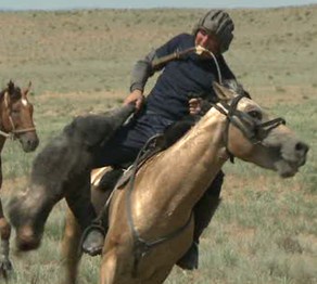 Көкпар додасы өтті 