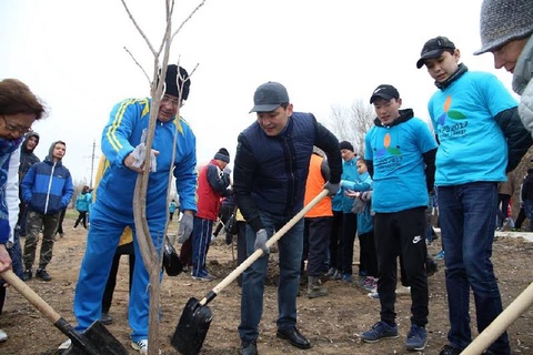 Батысқазақстандықтар жаппай ағаш егуге қатысты