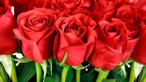 Қызылордалық Нәзипа Сарымсақова пластмасса қалдықтарынан сан түрлі гүл құрастырады