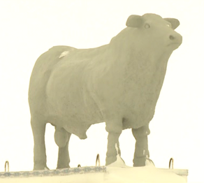 Қостанайда асылтұқымды бұқаға ескерткіш қойылды