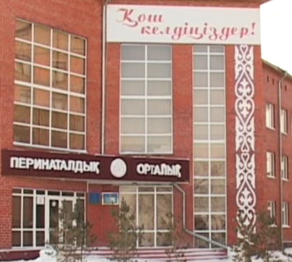 Көкшетаулық әйел нәрестесімен бірге екінші қабаттан секірді