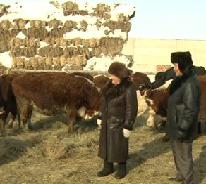 Әйелдер ауыл шаруашылығы саласының дамуына зор үлес қосуда