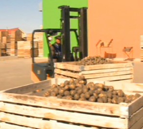 Финпол: Продукты из стабфонда в Атырау реализовывались по завышенным ценам
