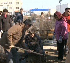Атырауда 2000 түп тал егілді