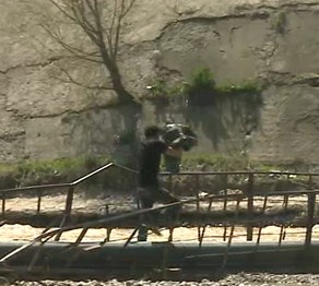 Шымкентте жаяу жүргіншілер өтетін көпір құлады