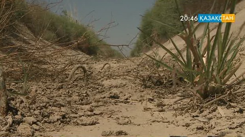 Шаруалар ағын суға зәру