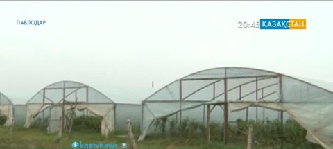 Павлодарлық шенеуніктердің салғырттығы кәсіпкерліктің дамуына кедергі