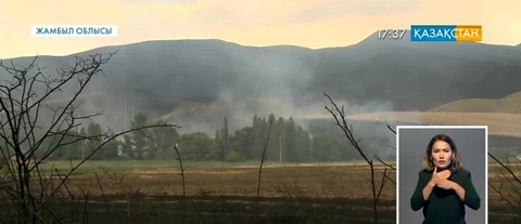 Жамбыл облысындағы тау шатқалында тағы өрт шықты