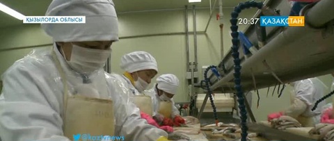 Алып жоба Аралдың ажарын кіргізді