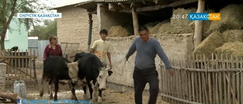 Мүмкіндігі шектеулі азаматтар мал шаруашылығымен айналысып келеді