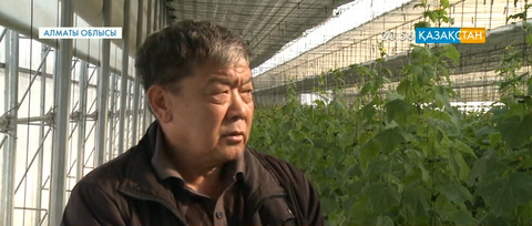 Қазақстанда 100 мыңнан астам корей ұлтының өкілі тұрады