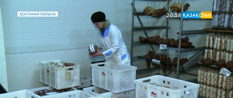 Еңбек – Тәуелсіздік тұғыры