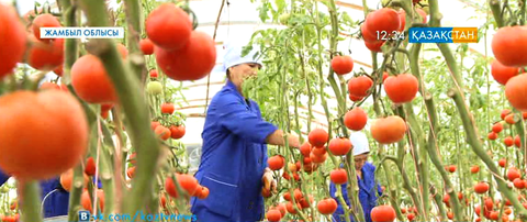 Еңбек бақытқа жетелейді