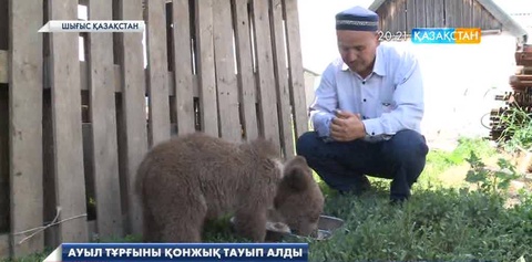 ШҚО-ғы Герасимовка ауылының тұрғыны қоңыр аюдың қонжығын өз үйінде асырап отыр