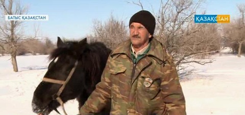 Орал өңіріндегі орман алқабын қорғаумен 400-ге тарта орманшы айналысады