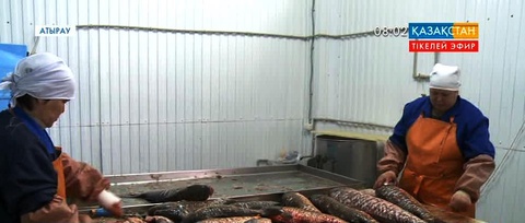 Атыраудағы «Інжу-Маржан» кәсіпорны өркендеп келеді