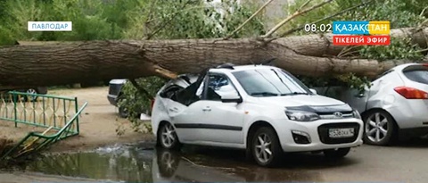 Қатты дауыл Павлодар облысы тұрғындарын әбігерге салды