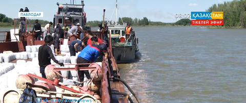 Павлодарда  шыбын-шіркейлерді жою жұмыстары басталды