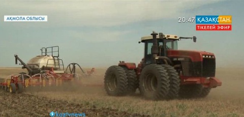 Ақмола облысында егін егу науқаны аяқталуда
