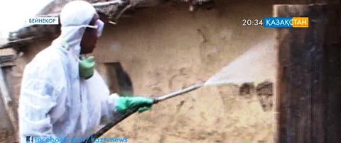 Батыс Қазақстан облысында  қой шешегіне байланысты карантин жарияланды