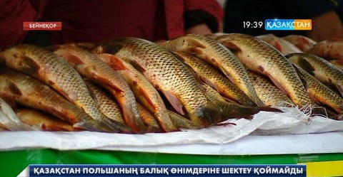 Қазақстан Польшаның балық өнімдеріне шектеу қоймайды