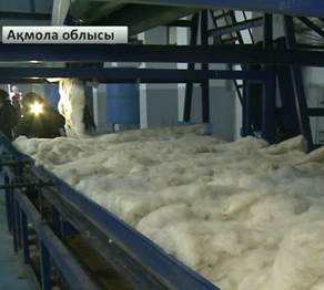Бұландыда минералды мақта шығаратын кәсіпорын ашылды
