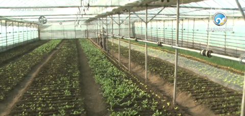 Жолдау шағын кәсіпкерлікке серпін береді