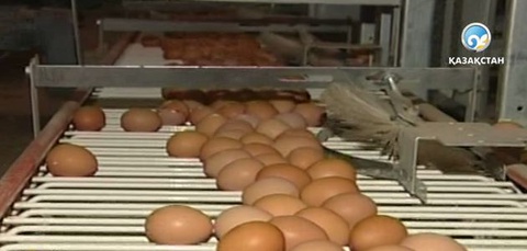 Жұмыртқа бағасы күрт өсіп кетті