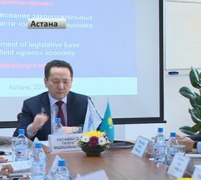 Астанада «жасыл» экономиканы дамыту туралы семинар-тренинг өтті