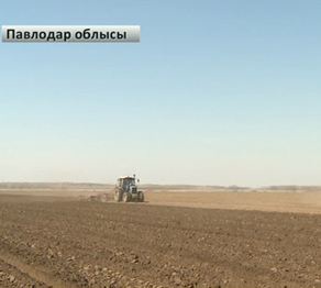 Павлодарда көктемгі егіс ерте басталды