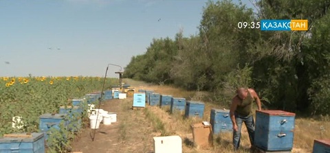 Шағын кәсіпкерлікті қолдау