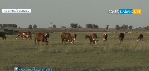 «Сыбаға» бағдарламасы шаруалар үшін өте тиімді