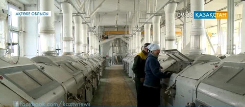 Жекешелендірудің пайдасы тиген диірмен комбинаты