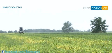 Шығыс Қазақстанда суармалы жерлер көлемі ұлғайды