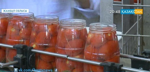 Меркі ауданында былтыр іске қосылған консерві зауыты шикізатқа зәру