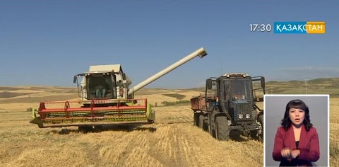 11 миллион гектар егіс алқабына дәрі себілді