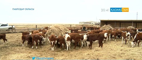 Мемлекеттік бағдарламаның берері мол